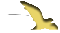 Logo Les Ailes du désir